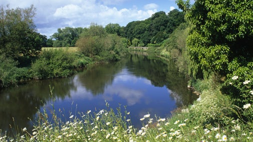 A view of the river and garden in summer at The Weir Garden